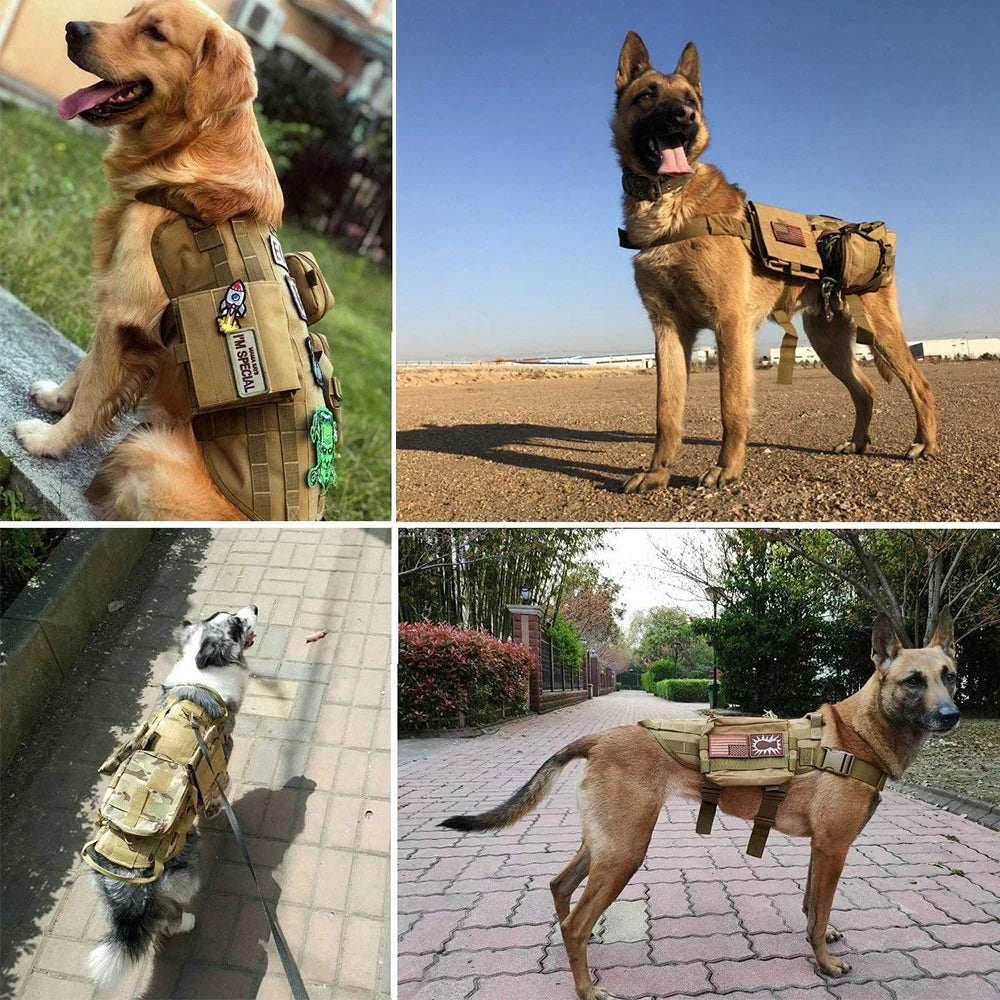 Collage of dogs wearing tactical vests with patches outdoors.