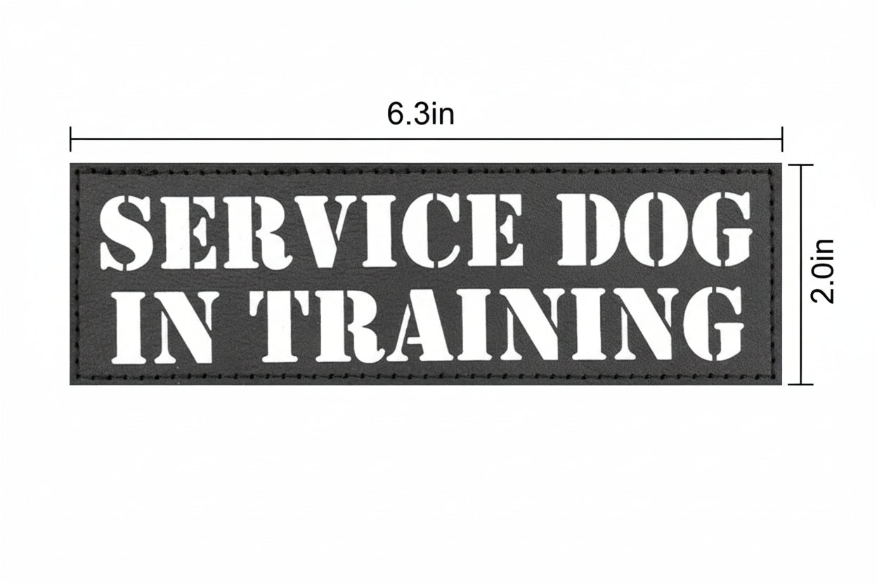 Rectangular patch with 'SERVICE DOG IN TRAINING' text and dimensions on a white background