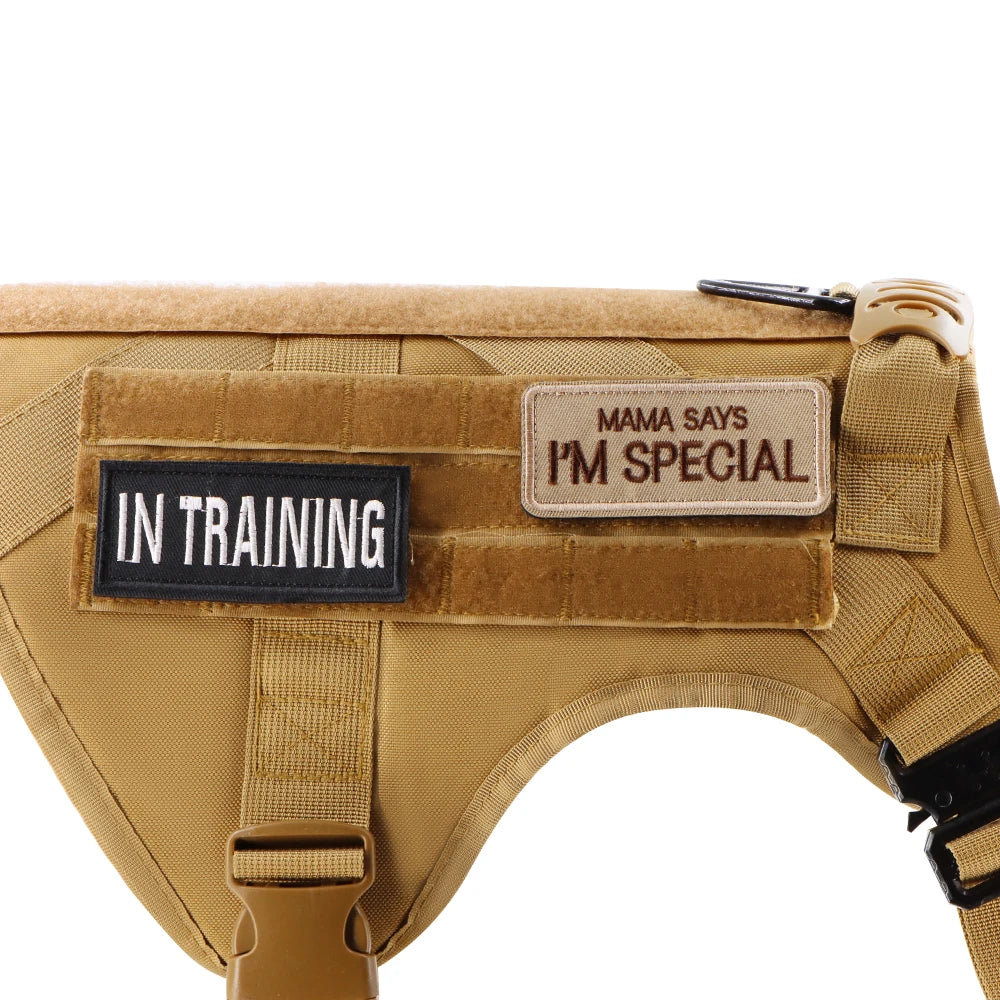 Tan dog harness with 'In Training' and 'Mama Says I'm Special' patches on a white background